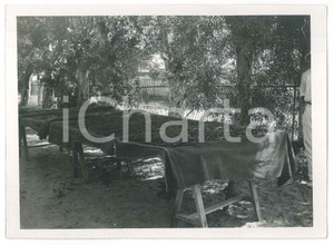 Fotografia d epoca originale 1935 ca MADAGASCAR  AGRICOLTURA  Raccolta della vaniglia  Foto 18x13 cm 1