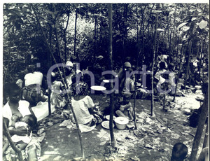 Fotografia d epoca originale 1968 GUERRA DEL BIAFRA Campo profughi nella piantagione di ULLONA Foto 1