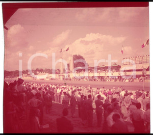 1952 MONZA Gran Premio ITALIA *DIAPOSITIVA ORIGINALE 1 Positivo originale a colori, in formato cm 6 x 6.Per i diritti rivolgersi a ICharta.ICharta mette in vendita, sul negozio eBay e in esclusiva sul sito "icharta" il proprio archivio composto da numerose diapositive e negativi fotografici d'epoca, tutti originali e autentici.Si tratta di uno sguardo inedito sull'attualità, la politica, la vita quotidiana, il gossip e la cultura, che fotografa il cambiamento della nazione (e non solo) tra il 1890 ed il 1990 circa. Un'occasione unica per il mercato del collezionismo, che vede finalmente disponibile un archivio eccezionale per vastità, tematiche e condizioni, in un settore (il negativo fotografico e la diapositiva) di assoluta novità e dalle interessanti prospettive di investimento. CONDIZIONI:POOR/danneggiato Pellicola rozzamente rifilata e alterata dal tempo (virata al rosso)FORMATO: cm 6 x 6 originale e autentica 1