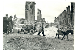 Fotografia d epoca originale 1960 ca JERASH Giordani a passeggio tra le rovine con i somari Fotografia 1