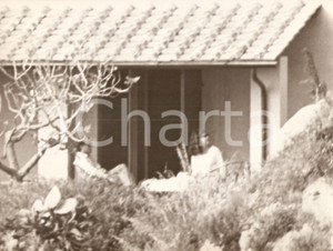 Fotografia d epoca originale 1965 ca CALA PICCOLA Argentario Liz TAYLOR Richard BURTON scoprono paparazzi 2 1