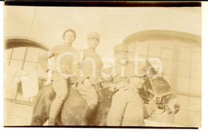 Fotografia d epoca originale 1918 WW1 TREVISO Un gruppo di ufficiali a dorso di mulo Foto cartolina CURIOSA 1