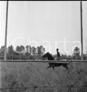 1965 ca MILANO al maneggio dell'Idroscalo NEGATIVO ORIGINALE 2 Negativo originale d'epoca, in bianco e nero, su pellicola.Per i diritti rivolgersi a ICharta.ICharta mette in vendita, sul negozio eBay e in esclusiva sul sito "icharta" il proprio archivio composto da numerose diapositive e negativi fotografici d'epoca, tutti originali e autentici.Si tratta di uno sguardo inedito sull'attualità, la politica, la vita quotidiana, il gossip e la cultura, che fotografa il cambiamento della nazione (e non solo) tra il 1890 ed il 1990 circa. Un'occasione unica per il mercato del collezionismo, che vede finalmente disponibile un archivio eccezionale per vastità, tematiche e condizioni, in un settore (il negativo fotografico e la diapositiva) di assoluta novità e dalle interessanti prospettive di investimento. CONDIZIONI:FAIR/discretoFORMATO: cm 6 x 6 originale e autentica 1