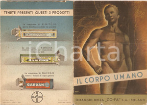 Materiale pubblicitario d’epoca 1940 ca MILANO COFA Cooperativa Farmaceutica Il corpo umano Opuscolo BAYER 3 1