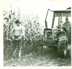 Fotografia d epoca originale 1983 BOSSENDORF FRANCE Trattore 7814 alla raccolta del mais Foto 3 1