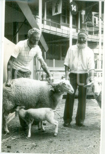 Fotografia d epoca originale 1980 FRANCE Agnellino allattato dalla mamma con pastori Fotografia 1