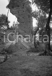 1947 SIRMIONE Rovine villa romana Grotte di Catullo *NEGATIVO ORIGINALE 2 Negativo originale d'epoca in bianco e nero Per i diritti rivolgersi a ICharta.ICharta mette in vendita, sul negozio eBay e in esclusiva sul sito "icharta" il proprio archivio composto da numerose diapositive e negativi fotografici d'epoca, tutti originali e autentici.Si tratta di uno sguardo inedito sull'attualità, la politica, la vita quotidiana, il gossip e la cultura, che fotografa il cambiamento della nazione (e non solo) tra il 1890 ed il 1990 circa. Un'occasione unica per il mercato del collezionismo, che vede finalmente disponibile un archivio eccezionale per vastità, tematiche e condizioni, in un settore (il negativo fotografico e la diapositiva) di assoluta novità e dalle interessanti prospettive di investimento. CONDIZIONI:FAIR/discretoFORMATO: cm 6 x 9 originale e autentica 1