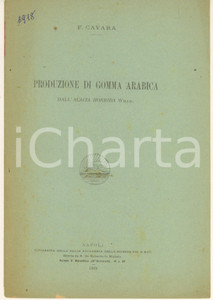 Libro, pubblicazione d epoca 1918 FRIDIANO CAVARA Produzione di Gomma Arabica dall Acacia Horrida 4 pp. 1