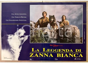 Materiale cinematografico d’epoca 1994 WALT DISNEY  La leggenda di Zanna Bianca Scott BAIRSTOW  Fotobusta 1