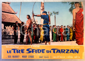 Materiale cinematografico d’epoca 1963 Jock MAHONEY Woody STRODE Le tre sfide di Tarzan  Fotobusta poster 1