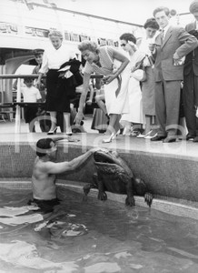 Fotografia d epoca originale 1955 GENOVA T/N Constitution  Anthony QUINN Nilla PIZZI in piscina  Foto 1