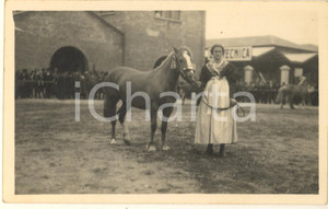 Fotografia d epoca originale 1930 MILANO Fiera Campionaria  1 Mostra Nazionale Zootecnica  Equini Foto 1 1