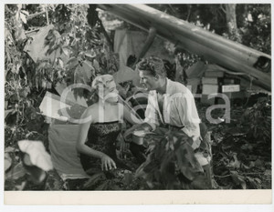 Materiale cinematografico d’epoca 1956 LA MORT EN CE JARDIN Georges MARCHANT Simone SIGNORET Regia Luis BUNUEL 1