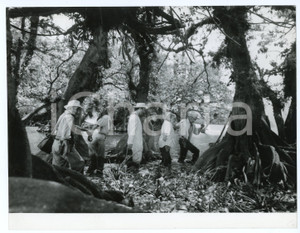 Materiale cinematografico d’epoca 1956 LA MORT EN CE JARDIN Simone SIGNORET Georges MARCHANT Regia Luis BUNUEL 1