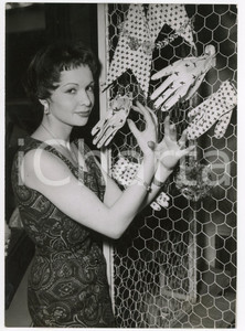 Fotografia d epoca originale 1955 ca FRANCE  HAUTE COUTURE Modella mostra alcuni guanti  Foto 13x18 cm 1