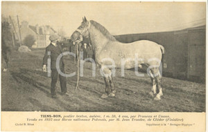 Cartolina originale da collezione 1925 ca BRETAGNE HIPPIQUE  TIENSBON postier breton aubère  Postcard 1