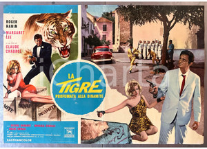 Materiale cinematografico d’epoca 1966 Roger HANIN Margaret LEE La tigre profumata alla dinamite Fotobusta 2 1
