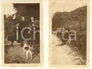 Fotografia d epoca originale 1935 MAGGIO / CREMENO Donne raccolgono fiori in campagna Lotto 2 foto 7x11 cm 1