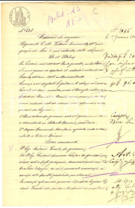Documento originale, autentico 1908 CA  D ANDREA CR Cessione ragioni su terreni a Francesco Pacifico CADORIA 1