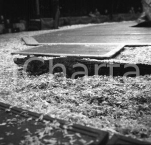 Fotografia d epoca originale 1967 Circo ORFEI il numero con i coccodrilli NEGATIVO ORIGINALE 1 1