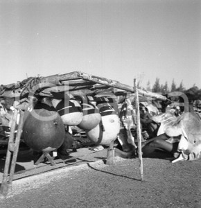 Fotografia d epoca originale 1965 ca MAPUTO MOZAMBICO  Strumenti musici popolo Chopi NEGATIVO ORIGINALE 11 1