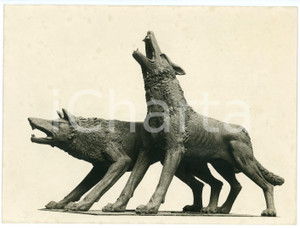 Fotografia d epoca originale 1950 ca BRESCIA Scultore Angelo RIGHETTI Monumento ai lupi  Foto 23x17 cm 1