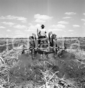 Fotografia d epoca originale 1965 ca LUABO MOZAMBICO piantagione di canna da zucchero NEGATIVO ORIGINALE 3 1