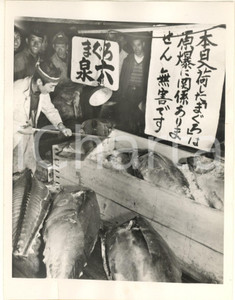 Fotografia d epoca originale 1954 TOKYO JAPAN Fish merchants without buyers after atomic test Photo 1