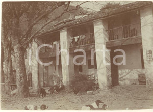 Fotografia d epoca originale 1915 ca AREA DI COMO Cascina con animali in cortile Foto COSTUME 12x9 cm 1