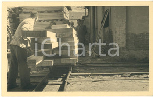 Fotografia d epoca originale 1950 ca BOSNIA Ditta ŠIPAD Legnami  Lavori in un deposito Foto 14x9 cm 1