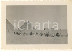 Fotografia d epoca originale 1935 ca EGITTO  Piana di GIZA  Carovana di cammelli  Foto COSTUME 10x7 cm 1