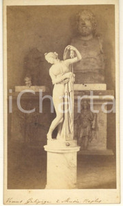 Fotografia d epoca originale 1870 ca NAPOLI Museo Archeologico  Venere Callipigia Foto AMODIO CDV 1