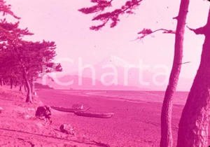 Fotografia d epoca originale 1970ca JAPAN The Mt. Fuji and pinetrees 35mm VINTAGE SLIDE 1