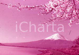Fotografia d epoca originale 1970ca JAPAN Mt. Fuji and cherry blossoms 35 mm VINTAGE SLIDE 1