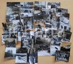 Fotografia d epoca originale 1957 MILANO Giardini PORTA VENEZIA  Zoo comunale Lotto 36 foto 10x7 cm 1