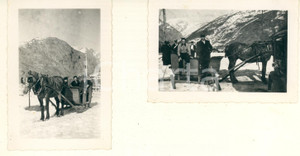 Fotografia d epoca originale 1939 COSTUME BARDONECCHIA Turisti in slitta trainata da cavallo 2 foto 9x6 cm 1