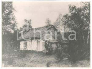 Fotografia d epoca originale 1950 ca GENK BELGIUM Photo Emile JAMINÉE House in the Woods  23x17  cm 1