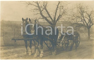 Fotografia d epoca originale 1920 ca COSTUMI AUSTRIA Vetturino con calesse e due cavalli Foto cartolina 1