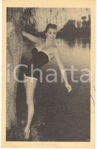 Autografo originale 1955 ca CINEMA Esther WILLIAMS attrice e nuotatrice  Foto con AUTOGRAFO 9x14 cm 1