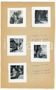 Fotografia d epoca originale 1948 SIRMIONE Grotte di Catullo e bosco di ulivi  Lotto 5 provini 1