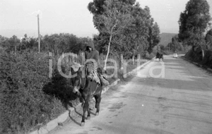 Fotografia d epoca originale 1968 SICILIA BELICE a dorso di mulo in campagna NEGATIVO ORIGINALE 1