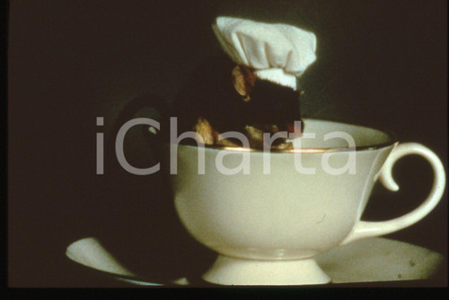 35mm vintage slide* 1997 MOUSEHUNT regia di Gore VERBINSKI - Una scena del film