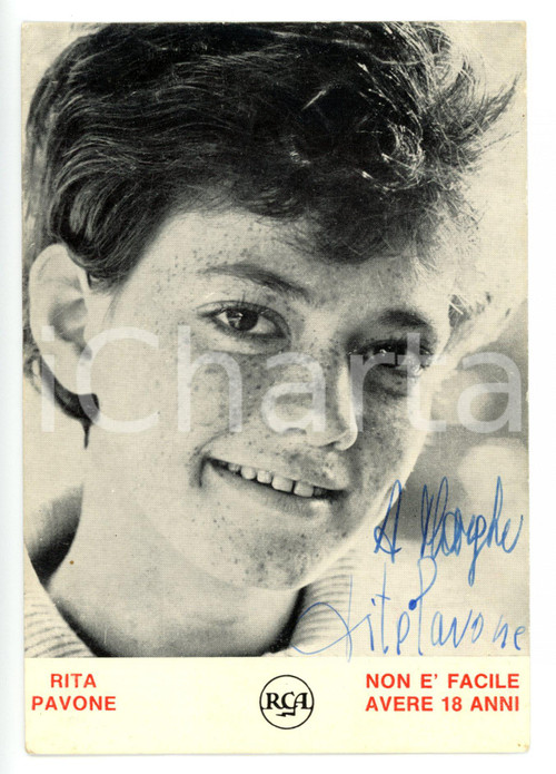 1965 ca MUSICA Rita PAVONE - Ritratto *Fotografia seriale RCA con AUTOGRAFO 