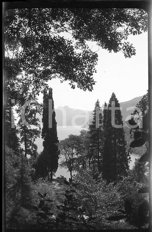 6X4cm NEGATIVO ORIGINALE* 1930 BELLAGIO Parco di Villa Serbelloni - LAGO DI COMO  Negativo originale in bianco e nero (su pellicola), in formato cm 6 x 4 E' vietata la riproduzione. Tutti i diritti sono riservati. ICharta mette in vendita, sul negozio eBay e in esclusiva sul sito "icharta" il proprio archivio composto da numerose diapositive e negativi fotografici d'epoca, tutti originali e autentici, che attraversano la storia del costume italiano tra gli la fine degli anni Sessanta e Novanta.Si tratta di uno sguardo inedito sull'attualità, la politica, la vita quotidiana, il gossip e la cultura, che fotografa il cambiamento della nazione in quest'ultimo scorcio del XX secolo. Un'occasione unica per il mercato del collezionismo, che vede finalmente disponibile un archivio eccezionale per vastità, tematiche e condizioni, in un settore (il negativo fotografico e la diapositiva) di assoluta novità e dalle interessanti prospettive di investimento. CONDIZIONI:FAIR/discretoFORMATO: cm 6 x 4 originale e autentica 1