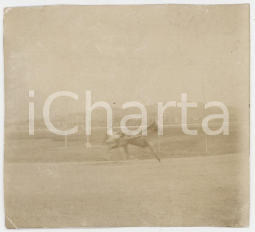 1910 ca IPPICA ITALIA Cavallo ABNET in gara - Foto RARA 8x7 cm