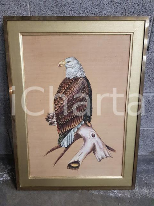 1970 VINTAGE Aquila di mare testa bianca - quadro 57 x 77 cm