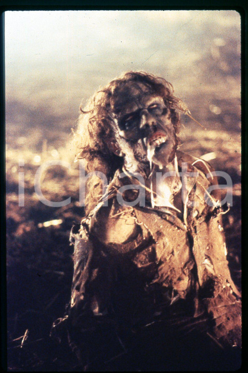 35mm vintage slide* 1989 CINEMA - "THE VINEYARD", James HONG, Michael WONG (43)  Diapositiva d'epoca, in formato 35 mm.CONDIZIONI: GOODE' severamente vietata la riproduzione. Tutti i diritti sono riservati.Nella diapositiva ICharta mette in vendita, sul negozio eBay e in esclusiva sul sito "icharta" il proprio archivio composto da numerose diapositive e negativi fotografici d'epoca, tutti originali e autentici, che attraversano la storia del costume italiano tra gli la fine degli anni Sessanta e Novanta.Si tratta di uno sguardo inedito sull'attualit&agrave;, la politica, la vita quotidiana, il gossip e la cultura, che fotografa il cambiamento della nazione in quest'ultimo scorcio del XX secolo. Un'occasione unica per il mercato del collezionismo, che vede finalmente disponibile un archivio eccezionale per vastit&agrave;, tematiche e condizioni, in un settore (il negativo fotografico e la diapositiva) di assoluta novit&agrave; e dalle interessanti prospettive di investimento. GOOD/buono   originale e autentica 1