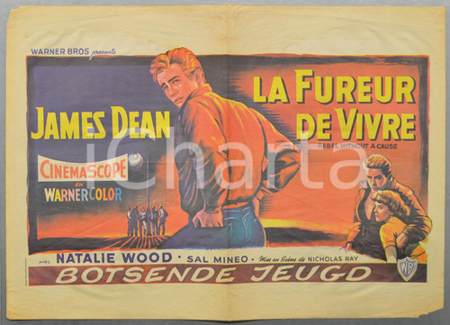 1955 LA FUREUR DE VIVRE Rebel without a cause - James DEAN Manifesto 58x41 cm Manifesto d'epoca, originale e autentico.DIMENSIONI: 58x41 cm CONDIZIONI: POOR (mancanze agli angoli, gualciture diffuse, aloni)    originale e autentica 1