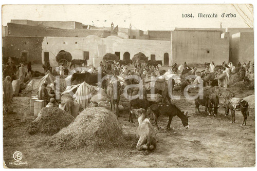 1914 TRIPOLI Mercato d'erba - Cartolina ANIMATA FP VG  Cartolina postale d'epoca, viaggiata.CONDIZIONI: POOR (piegature all'angolo superiore destro, smussature agli angoli)FORMATO: FP    originale e autentica 1