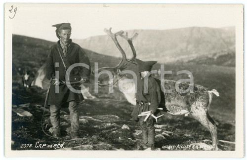 1935 ca NORWAY Lapp with reindeer - Postcard FP NV (1)  Cartolina d'epoca, non viaggiata. FAIR/discreto Lievi smussature agli angoli Formato: FP originale e autentica 1